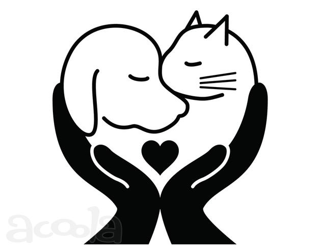 Кремировать умершею собаку в Туле. Вывоз тел умерших собак для последующей кремации в Тульском Зоо Крематории. Кремация домашних животных в Туле, Калуге.